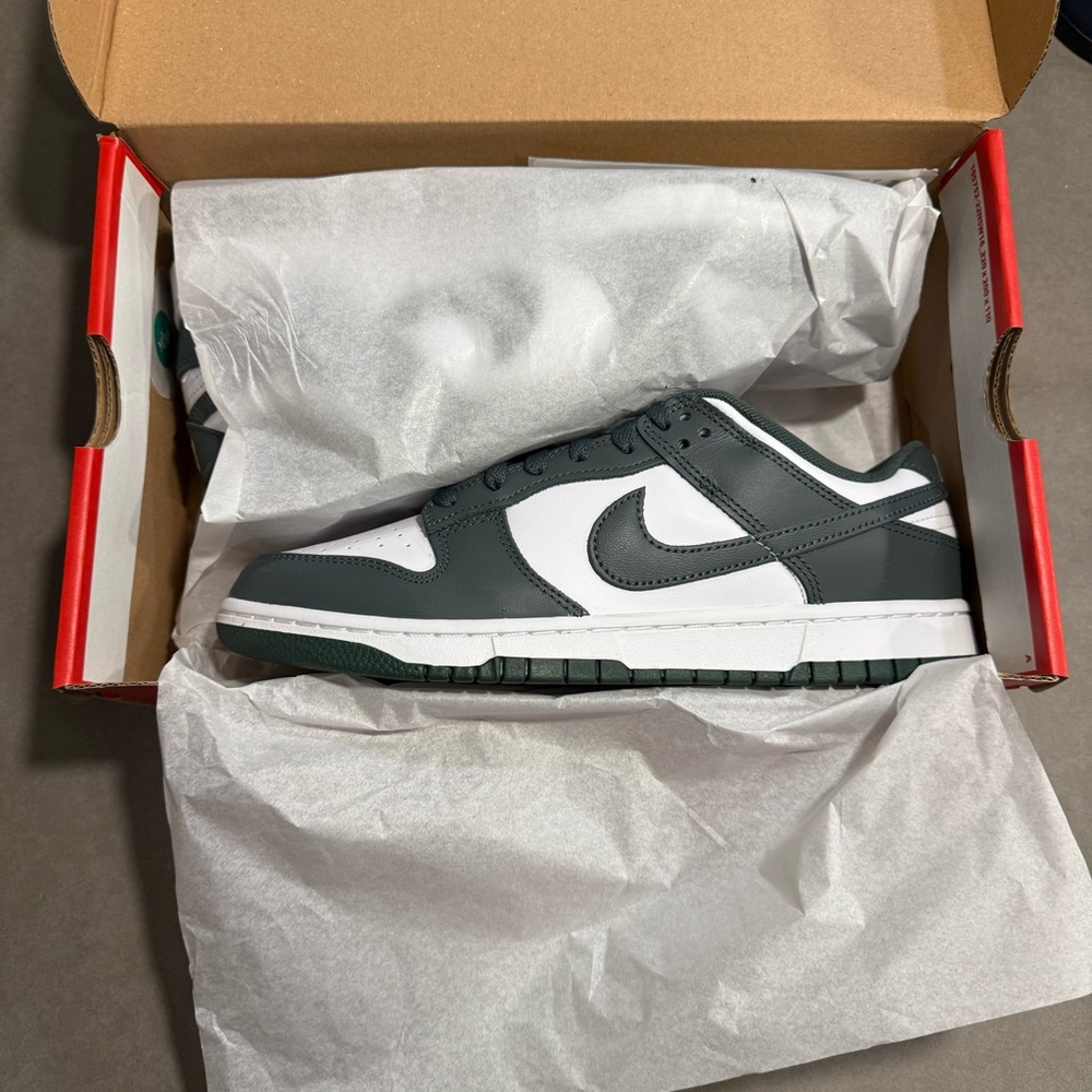 Brand new! Nike Dunk
